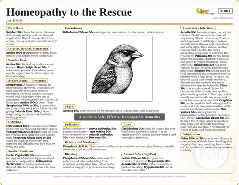 Homeopathy to the Rescue for Birds Laminated Remedy Card