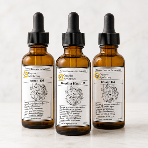 Gurudas Flower Essence for animals ~ Almond