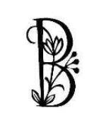 Branta canadensis feather C12  (Theriault)