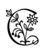 Cardamine hirsuta (Theriault)