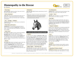 Homeopathy to the Rescue for Horses - 50 count Equine Remedy Kit