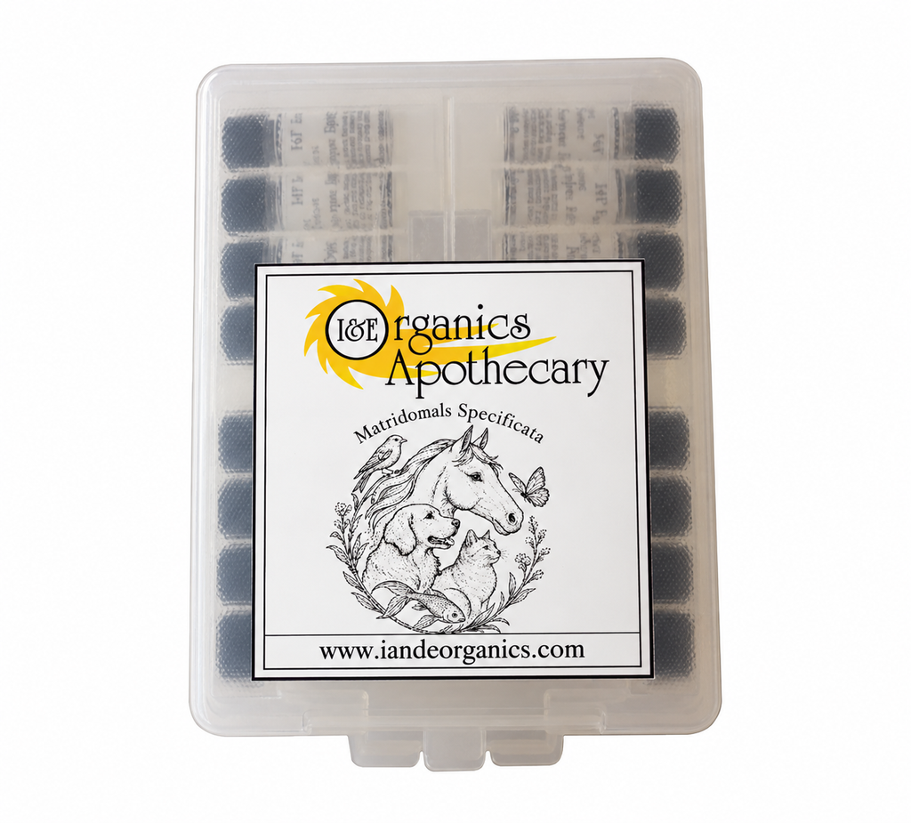 Matridonal Specificata Remedy Kit