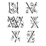 Ursus arctos pel