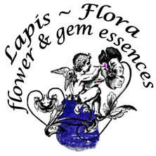 Flower Essences from the United Kingdom for animals ~ Rock Water