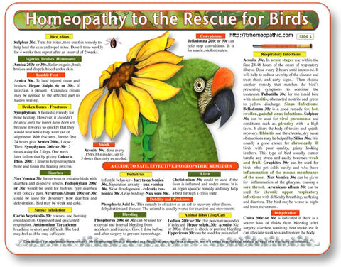 Homeopathy to the Rescue for Birds Laminated Remedy Card