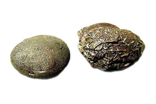 Gurudas Gem Essence ~ Boji Stone