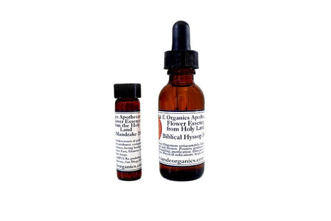 Flower Essence from the Holy Land ~ Pomegranate