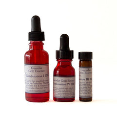 Gurudas Gem Essence ~ Combination 2