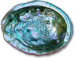 Gurudas Gem Essence ~ Abalone