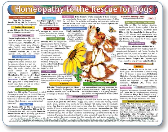 Homeopathy to the Rescue for Dogs Laminated Remedy Card