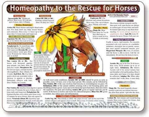 Homeopathy to the Rescue for Horses Laminated Remedy Card