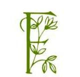 Foeniculum vulgare