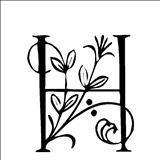 Haematopota pluvialis