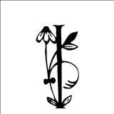 Iris minor