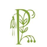 Phleum praetense