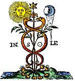 Organotherapy-Sarcode-Lac-humanum /C12 (Theriault)